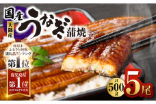 4001 鹿児島県大隅産うなぎ蒲焼5尾（500g）　KN007-005-03