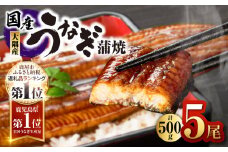 4001 鹿児島県大隅産うなぎ蒲焼5尾（500g）　KN007-005-03