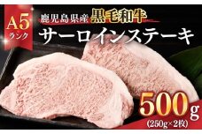 1397-1 鹿児島県産黒毛和牛A5ランクサーロインステーキ 500g（250g×2枚）　KN041-001-01