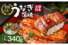 1386 大隅特産うなぎ蒲焼2尾（340g）　KN060-001-01