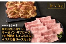 1417 鹿児島黒毛和牛A5サーロイン・リブロース（すき焼き・しゃぶしゃぶ）＋『コクの豚ロース』セット　KN036-012