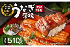 1387 大隅特産うなぎ蒲焼3尾（510g）　KN060-001-03