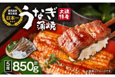 1389 大隅特産うなぎ蒲焼5尾（850g）　KN060-001-04