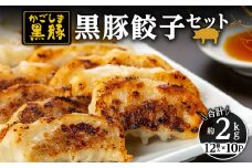 1446 黒豚餃子12個入×10パック　KN038-016
