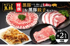 1451 特撰 鹿児島黒豚1.4kg（バラ・肩ロース・とんかつ用）＋黒豚餃子　KN038-019