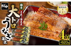 1466-2 大人気！鯉家の極上蒲焼「大トロうなぎ蒲焼620g（4尾）」 620g【国産・手焼き備長炭】　KN040-004-02