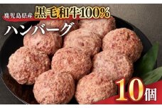 1525 鹿児島県産黒毛和牛100％ハンバーグ10個　KN041-008