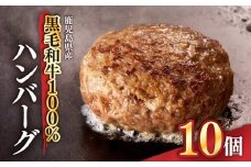 1525 鹿児島県産黒毛和牛100％ハンバーグ10個　KN041-008