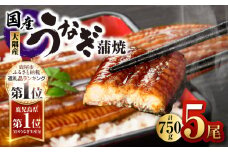 1633 鹿児島県大隅産うなぎ蒲焼5尾（750g）　KN007-005-01
