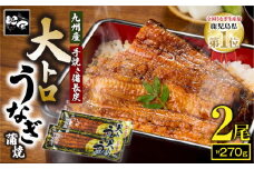 1661-2 大人気！鯉家の極上蒲焼「大トロうなぎ蒲焼（2尾）」270g【九州産・手焼き備長炭】　KN040-002-01