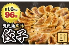 1289-1 鹿児島黒豚 餃子 1.6kg＜96個＞　KN054-004