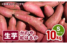 1672 かのや紅はるか 生芋Sサイズ 10kg　KN011-001