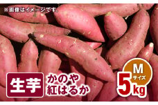 1673 かのや紅はるか 生芋Mサイズ 5kg　KN011-002-01
