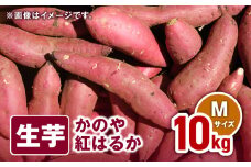 1674 かのや紅はるか 生芋Mサイズ 10kg　KN011-002-02