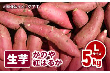 1675 かのや紅はるか 生芋Lサイズ 5kg　KN011-003-01