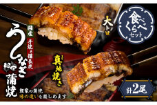 1702-2 大人気！鯉家の極上蒲焼「大トロ・真地焼き食べ比べセット（2尾）」【国産・手焼き備長炭】　KN040-014-01