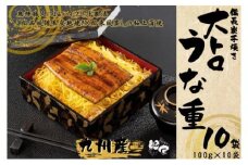 1707-2 大人気！鯉家の極上蒲焼「簡単！大トロうな重（カット蒲焼10袋）」【国産・手焼き備長炭】　KN040-013-02
