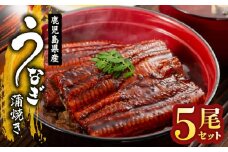 1651-1 鹿児島県産 うなぎ蒲焼き 5尾セット　KN058-002-05