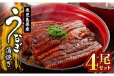1652-1 鹿児島県産 うなぎ蒲焼き4尾セット　KN058-002-04