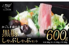 744-2 「かごしま森の黒豚」 しゃぶしゃぶセット600g 小分け　KN004-018