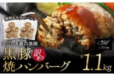 1516-1 【訳あり】希少「かごしま森の黒豚」 黒豚焼ハンバーグ10個　KN004-016