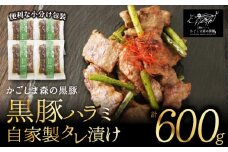 1605-1 希少「かごしま森の黒豚」黒豚ハラミ自家製タレ漬け600g小分け　KN004-021