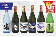 【超特急便】1794 海の蔵「大海酒造」の飲み比べセット！A-1（合計6本）　KN043-002-01