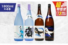 【超特急便】1795 海の蔵「大海酒造」の飲み比べセット！B-1（合計4本）　KN043-003-01