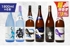 【超特急便】1797 海の蔵「大海酒造」の飲み比べセット！B-2（合計6本）　KN043-003-02