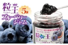 1903-1 粒王ブルーベリージャム 200g×5個　KN030-003