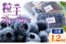 141-3 粒王 冷凍ブルーベリー 1.2kg（400g×3P）　KN030-002