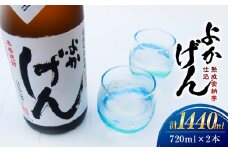 1919 熟成安納芋仕込 焼酎「よかげん」720ml 2本セット　KN080-002