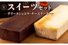 2029 オクタス テリーヌ ショコラ チーズケーキ 2種セット　KN021-029
