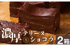 2027 オクタス テリーヌ ショコラ 2箱　KN021-026-02
