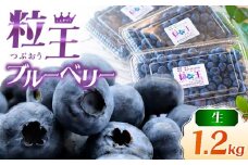 1217-1 粒王 生ブルーベリー 1.2kg（400g×3P）　KN030-002-01