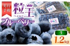 【先行予約】1217-1 粒王 生ブルーベリー 1.2kg（400g×3P）　KN030-002-01