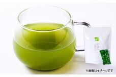 1973 鹿児島県産 粉末 緑茶 スティック 50本　KN028-004-01