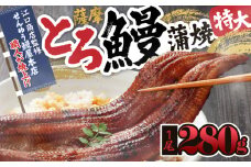 2053-1 薩摩とろ鰻蒲焼特大一尾280g【江口商店監修】　KN084-003