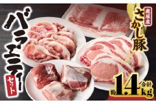 1943 鹿屋産 豚肉 バラエティーセット　KN079-003