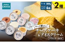 2105 チーズケーキ/アイスクリーム6種バラエティBOX　KN087-005