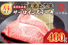 2106 うしの中山 サーロイン ステーキ 400g　KN050-005