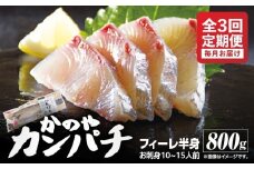 2141 【全3回定期便/毎月お届け】かのやカンパチ フィーレ半身（お刺身10～15人前） 800g　KN001-T01