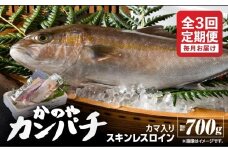 2154 【全3回定期便/毎月お届け】かのやカンパチ スキンレスロイン（カマ入） 計700g　KN001-T02