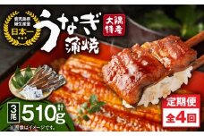 2182-1 【定期4回】大隅特産うなぎ蒲焼 3尾（510g）　KN060-T01