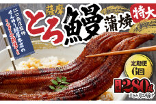 2173-1 【江口商店監修】薩摩とろ鰻蒲焼特大サイズ一尾 280g（6ヶ月定期）　KN084-T01