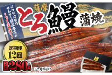 2176-1 【江口商店監修】薩摩とろ鰻蒲焼二尾 280g（140g×2）＜12ヶ月定期＞　KN084-T04