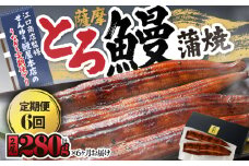 2174-1 【江口商店監修】薩摩とろ鰻蒲焼二尾 280g（140g×2）＜6ヶ月定期＞　KN084-T02