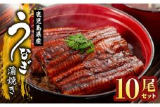 2125 鹿児島県産 うなぎ蒲焼き 10尾　KN058-002-10