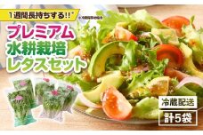2257 洗わずに食べられる プレミアム 水耕栽培 レタス 5袋　KN064-001