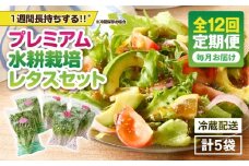 1628-2 【全12回定期便】洗わずに食べられる プレミアム水耕栽培レタスセット（計5袋）　KN064-T03